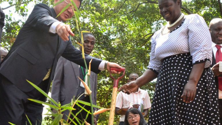 China sparking Green Revolution in Uganda with Bamboo.