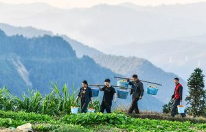 Parish Development Model: Lessons from China’s Poverty Alleviation initiatives