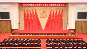 The Case for Strong Leadership: China’s Fourth Plenary Session and African Aspirations