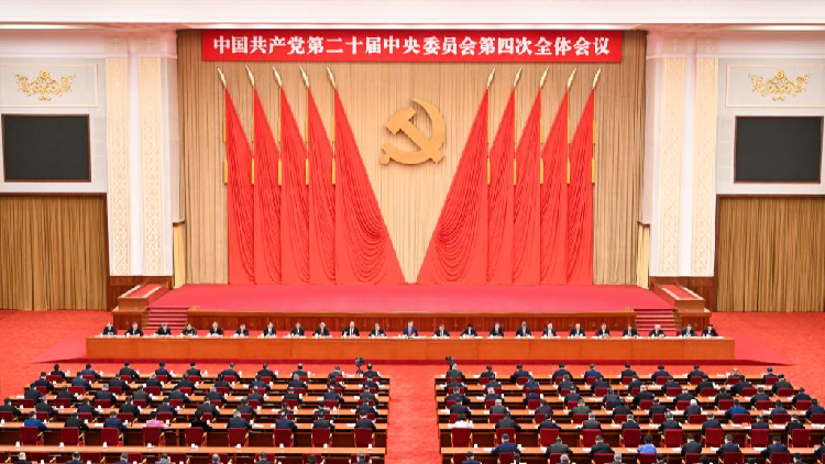 The Case for Strong Leadership: China’s Fourth Plenary Session and African Aspirations