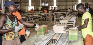 Building Uganda’s Industrial Future: A Case Study of the Kapeeka Industrial Park